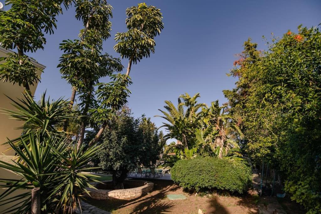Villa Elmar Aegina Exteriér fotografie